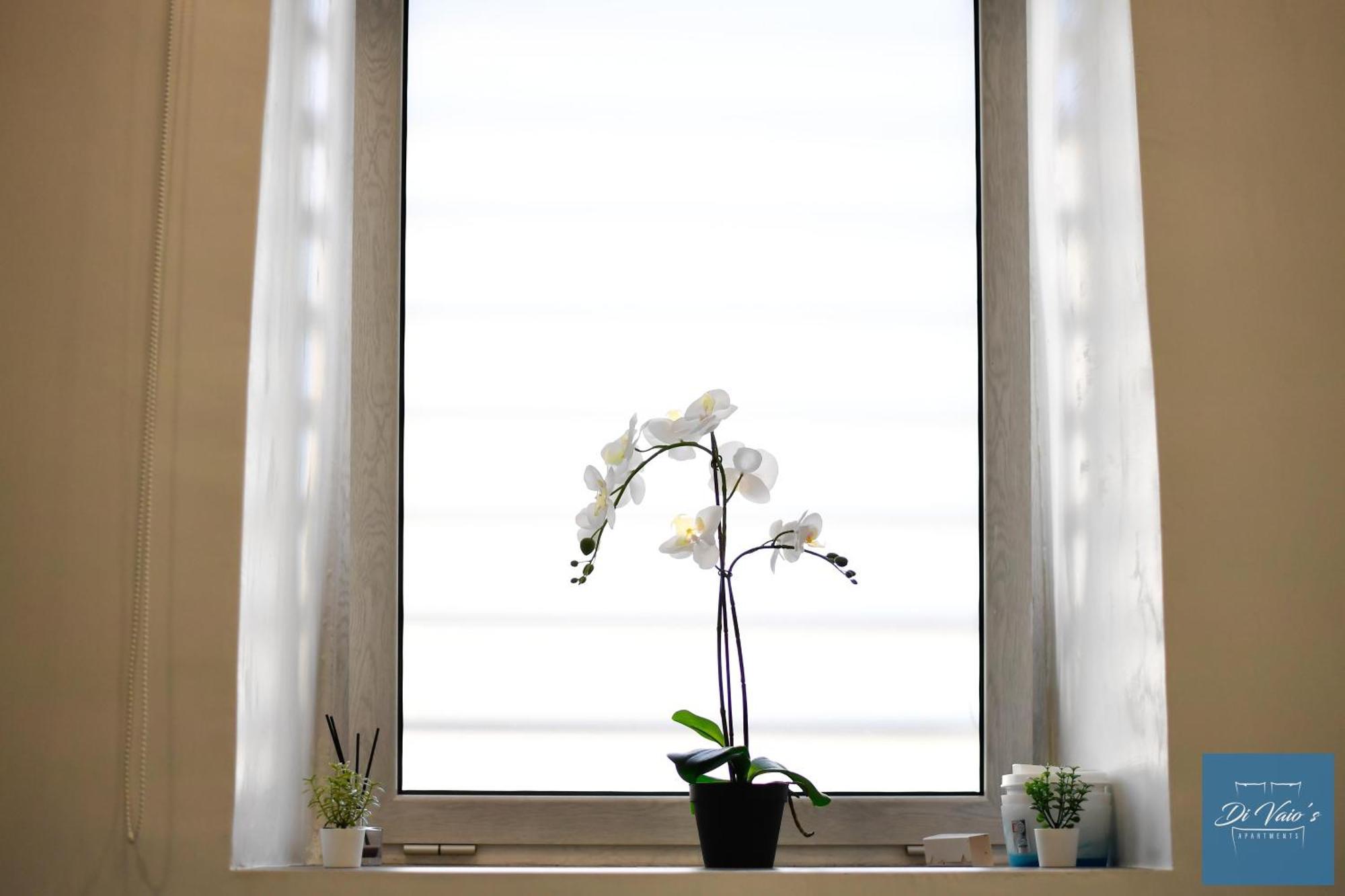 Di Vaio'S Apartments Napoli Eksteriør bilde